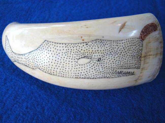A charming polycromed scrimshaw whale's tooth with pinprick depiction of a sperm whale circa 1860-1880. — image 3